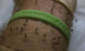 mosquito wrist band